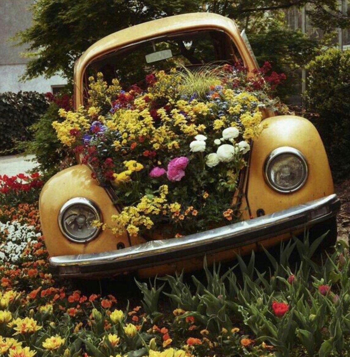 Автомобиль с цветами