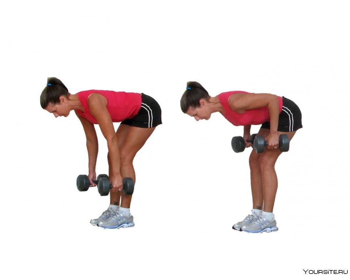 Incline Bench Dumbbell Row