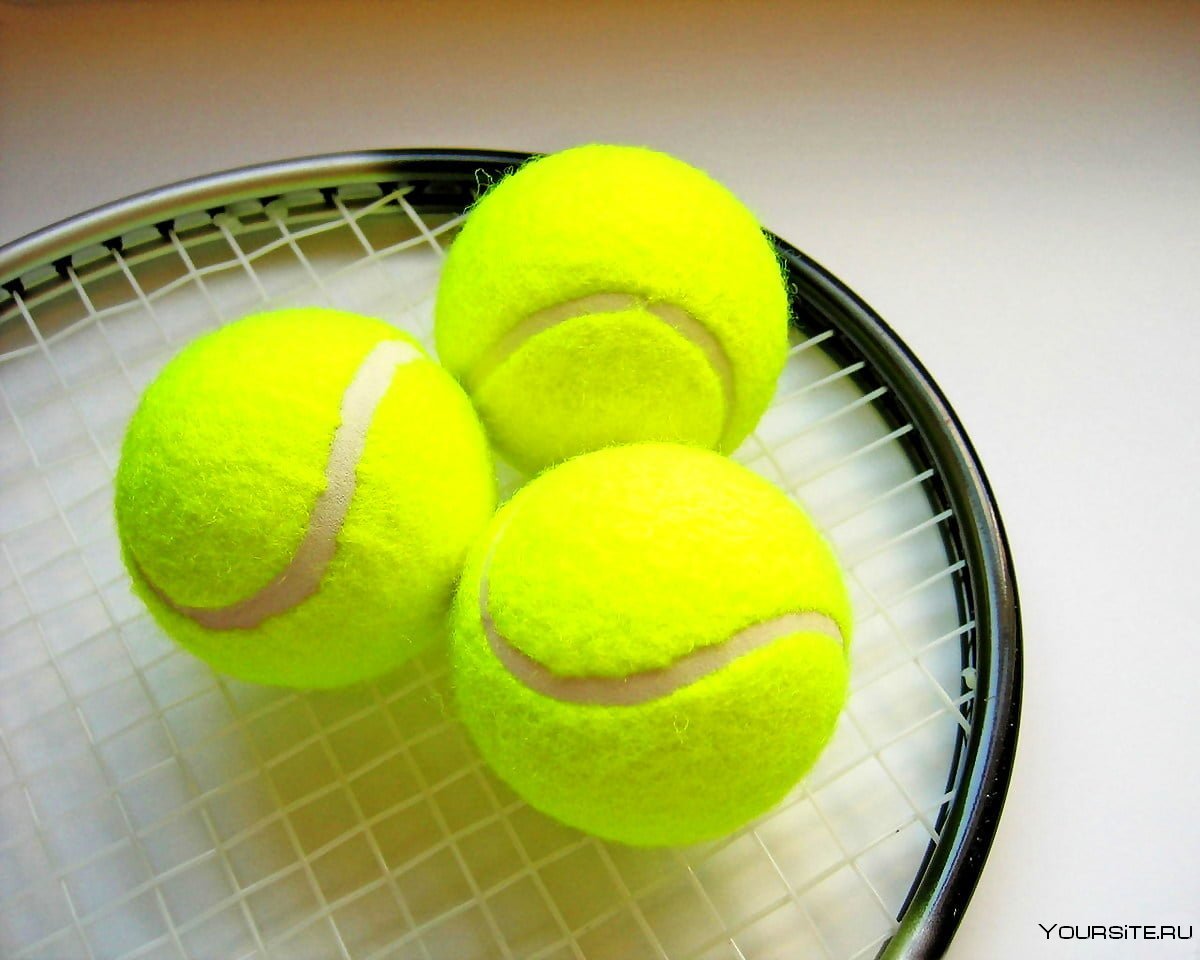 Roxel мячики теннисные 6 штук оранжевые