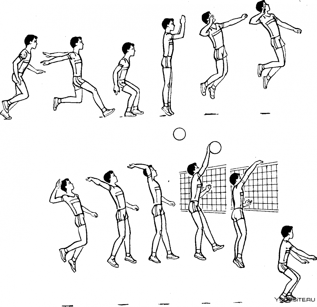 Тактика подачи мяча в волейболе