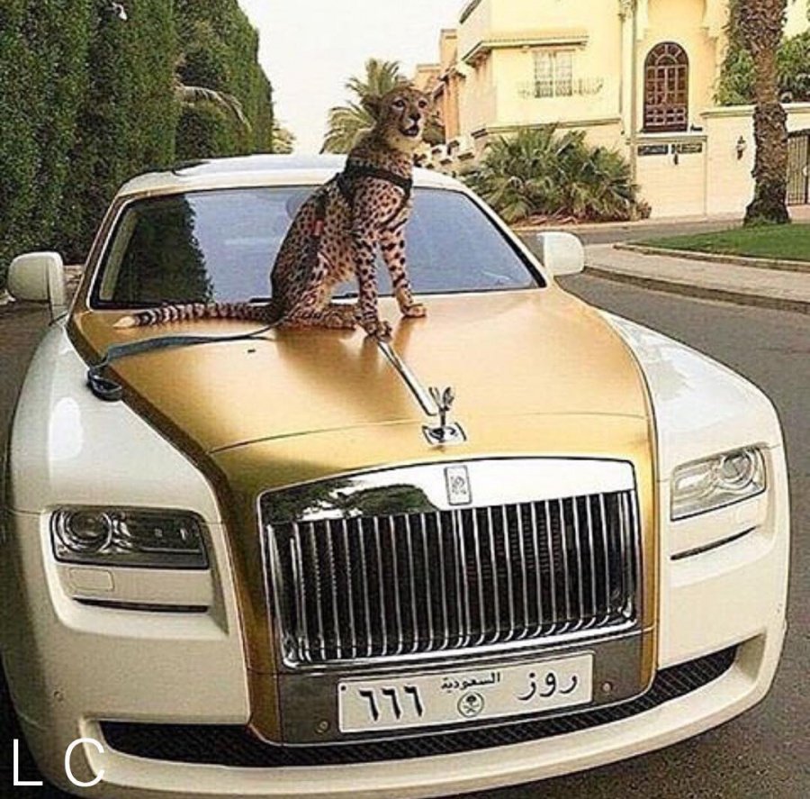 Rolls Royce Гусейна Гасанова