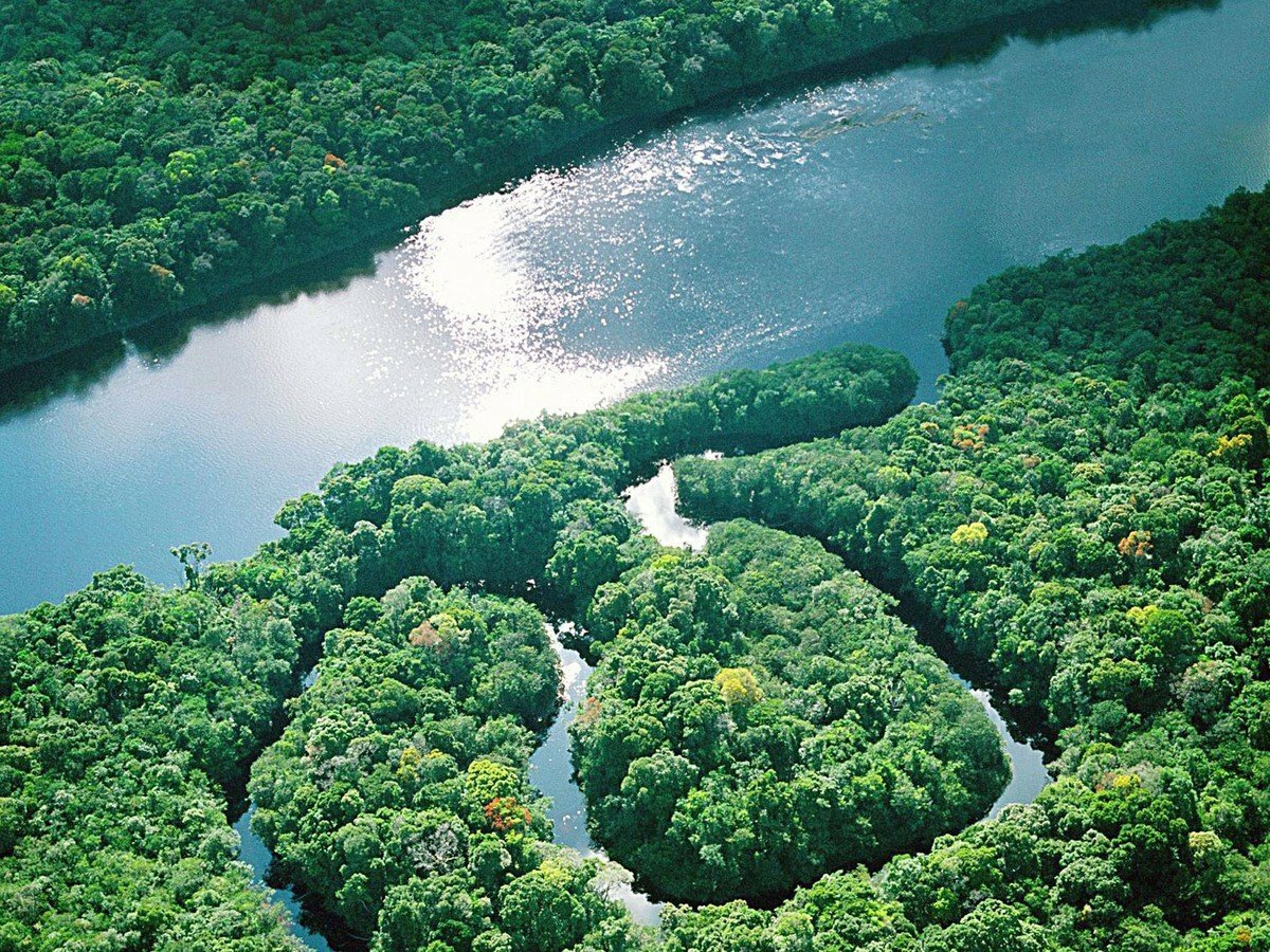 Национальный парк жау в Бразилии