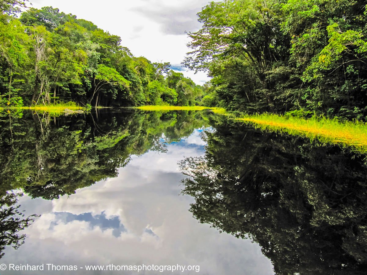 Красота амазонки реки