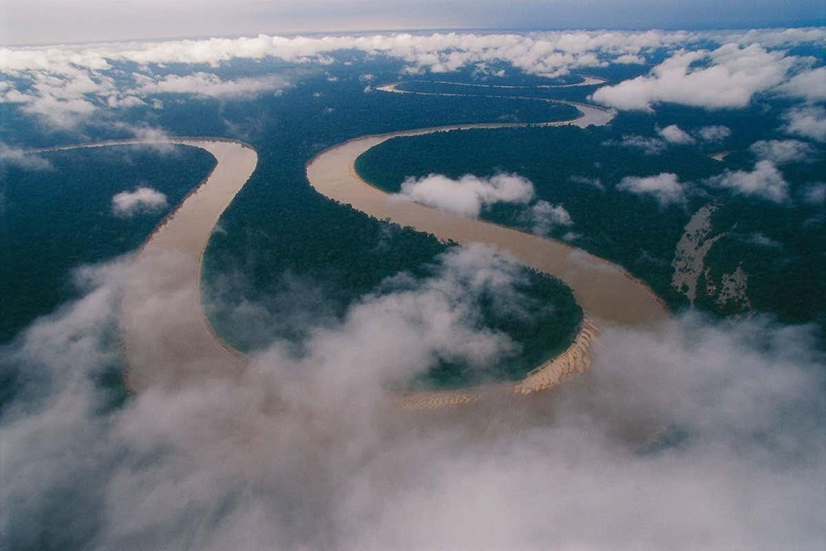 Амазонка река фото красивые