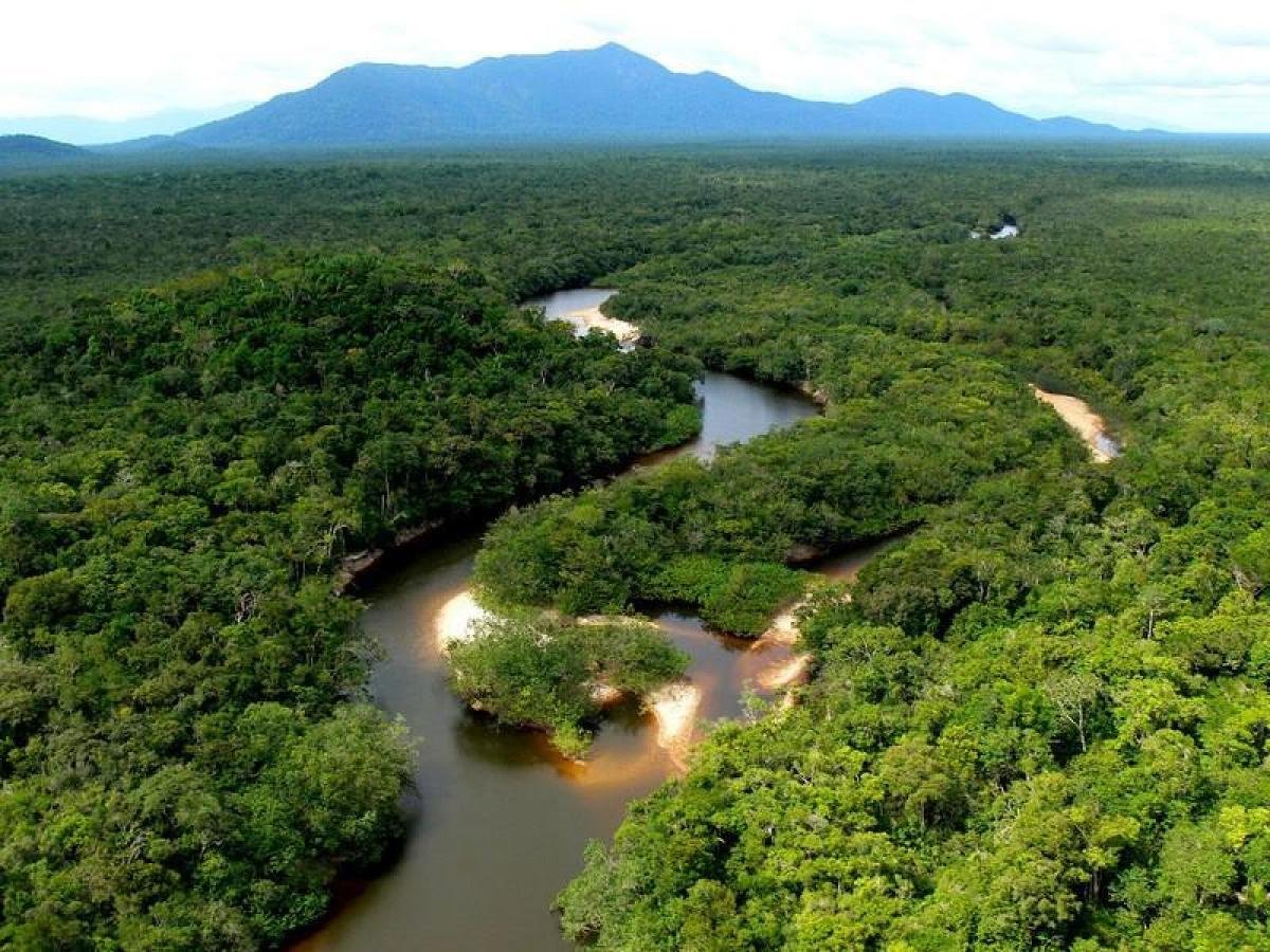 Бассейн амазонки Бразилия