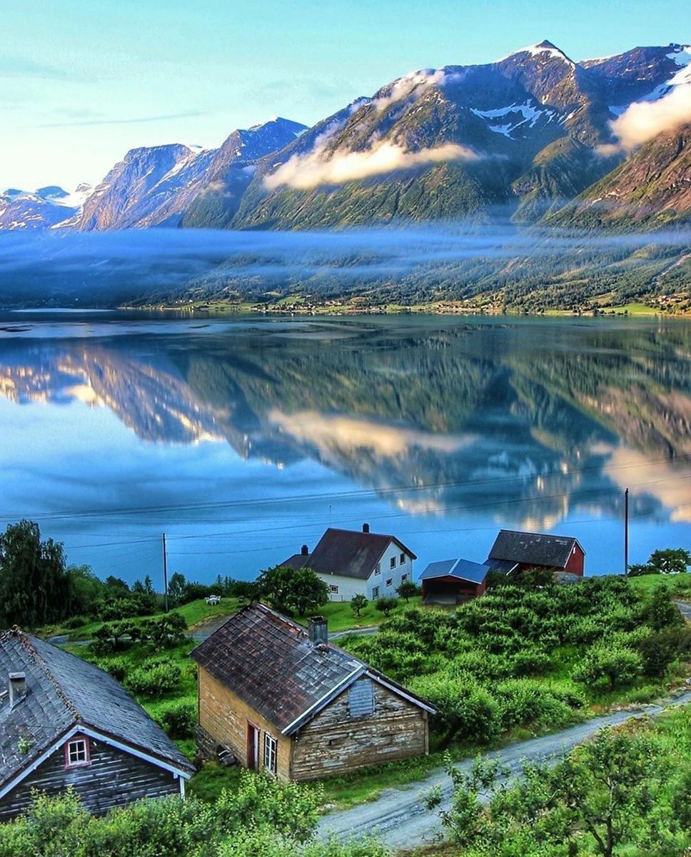 Поллен Норвегия