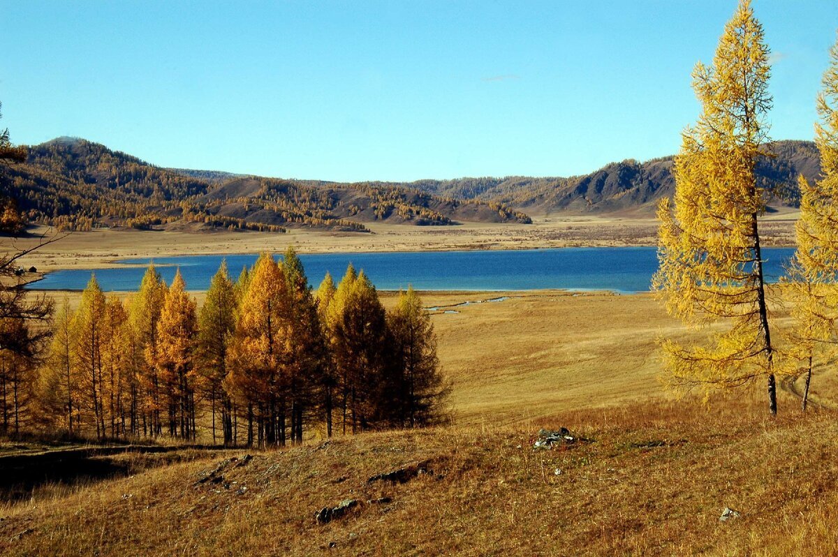 Теньгинское озеро - Горно-Алтайск