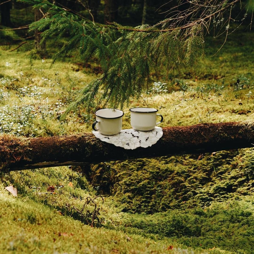Чай на природе