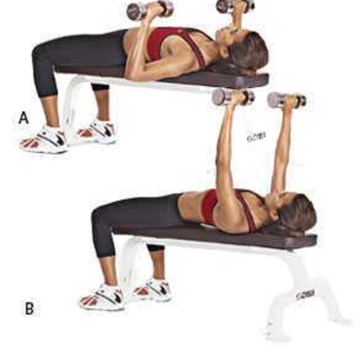 Decline Bench Press