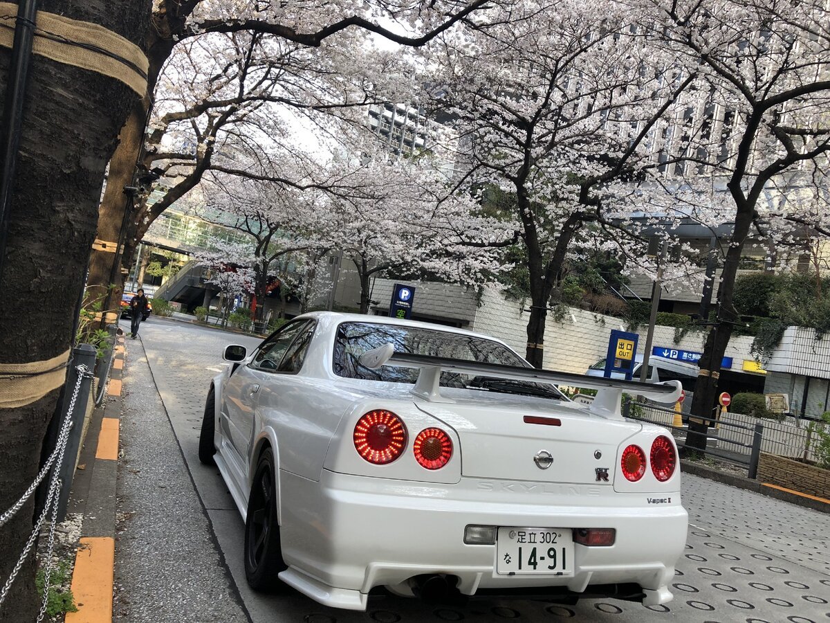Nissan Skyline r34 Sakura