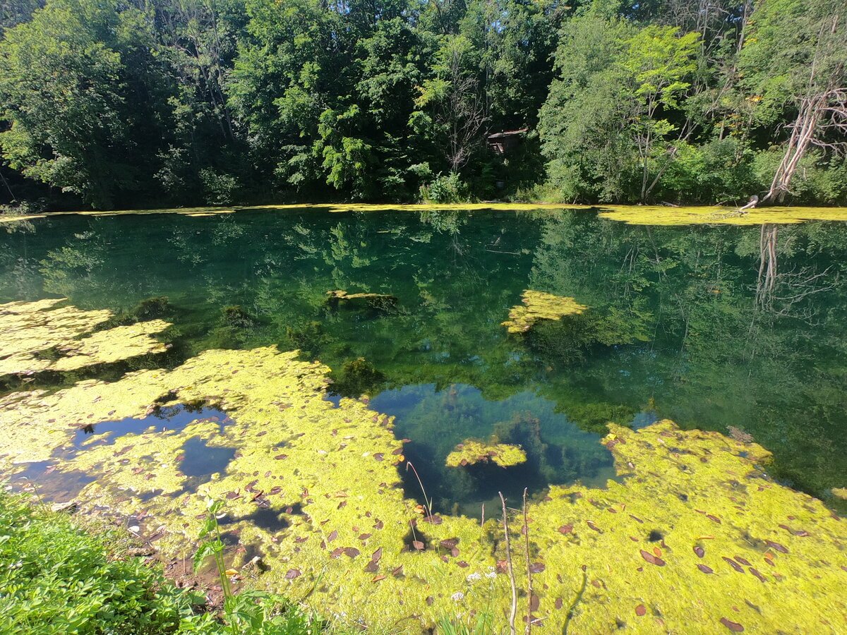 Экотропа Лопухинка радоновые озера