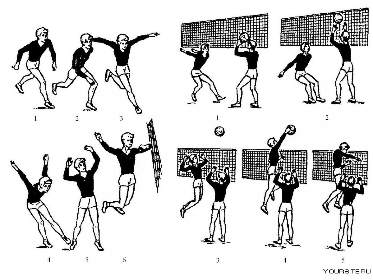 Техника верхней передачи мяча в волейболе
