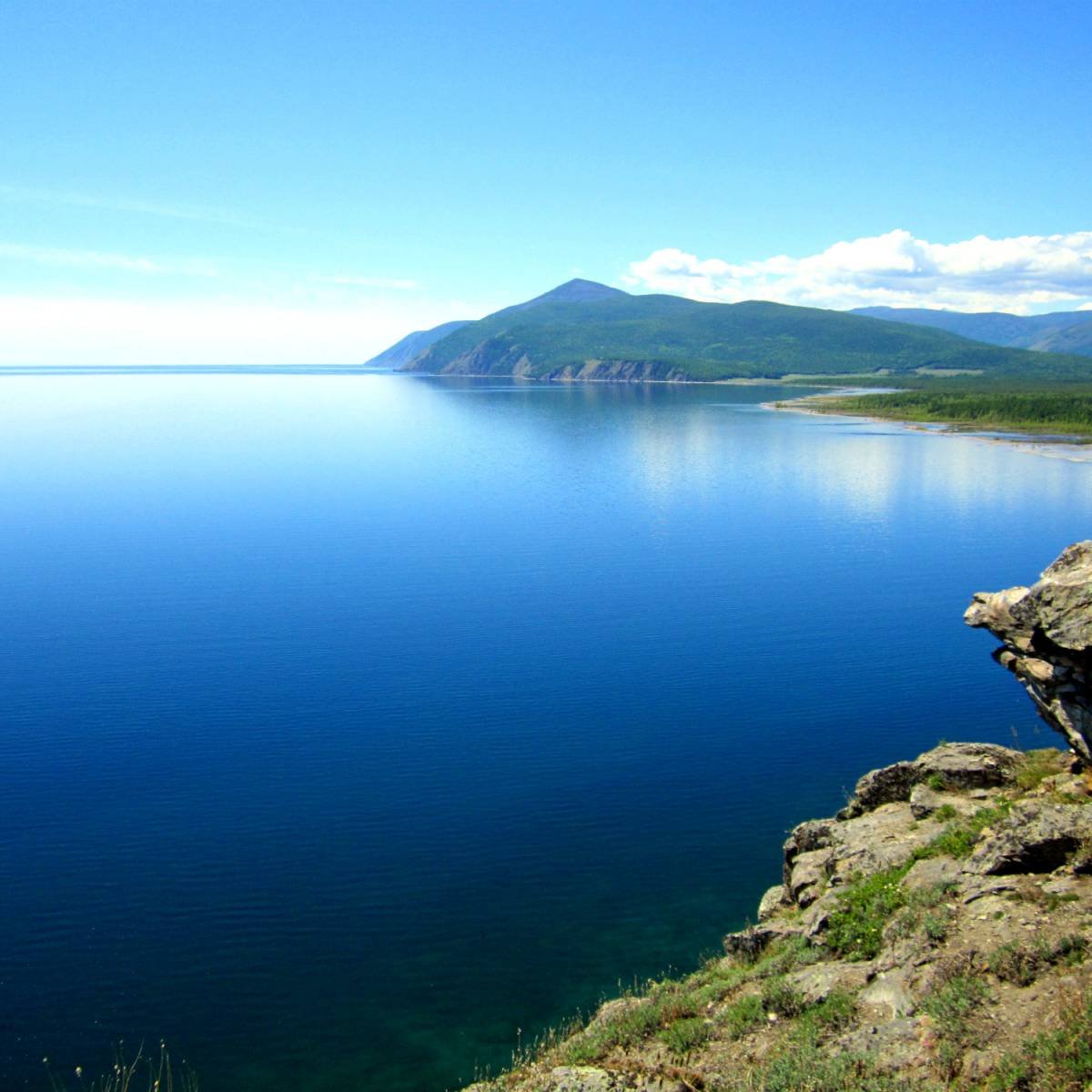 Растительный мир Байкала