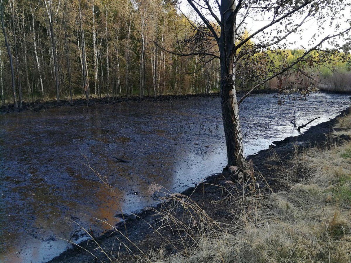 Чёрное озеро Москва Косино