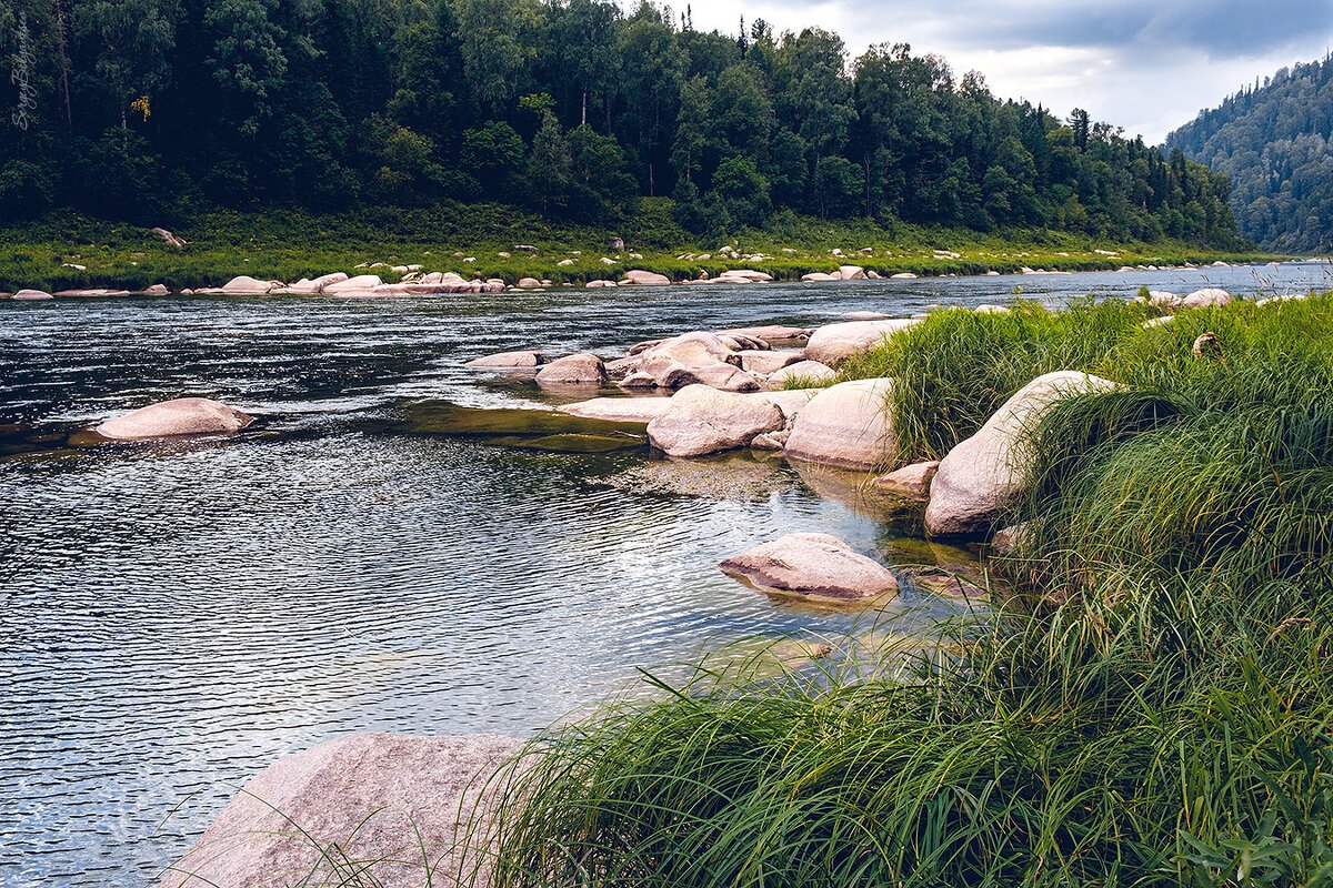 Река Ловать Псковская область рыбалка