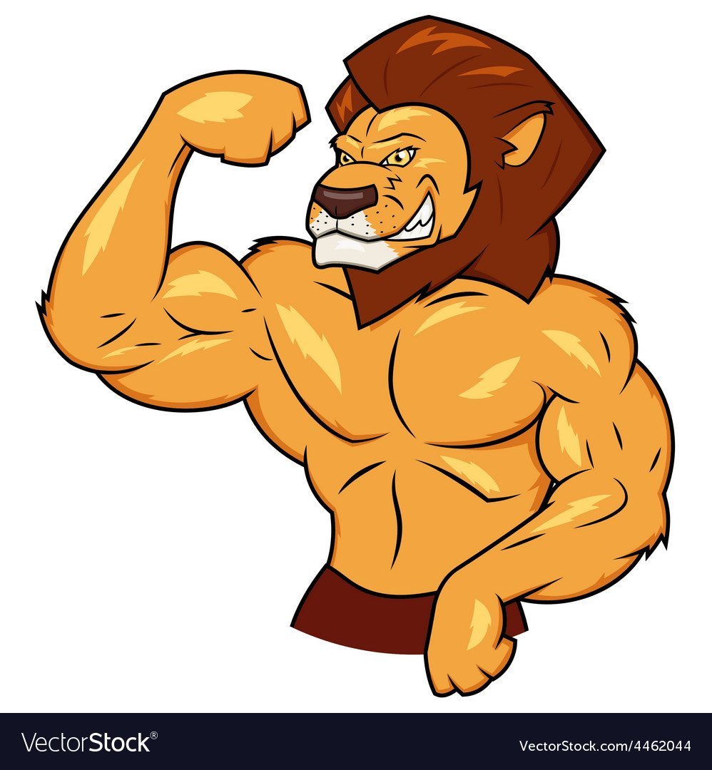 Мышцы Льва