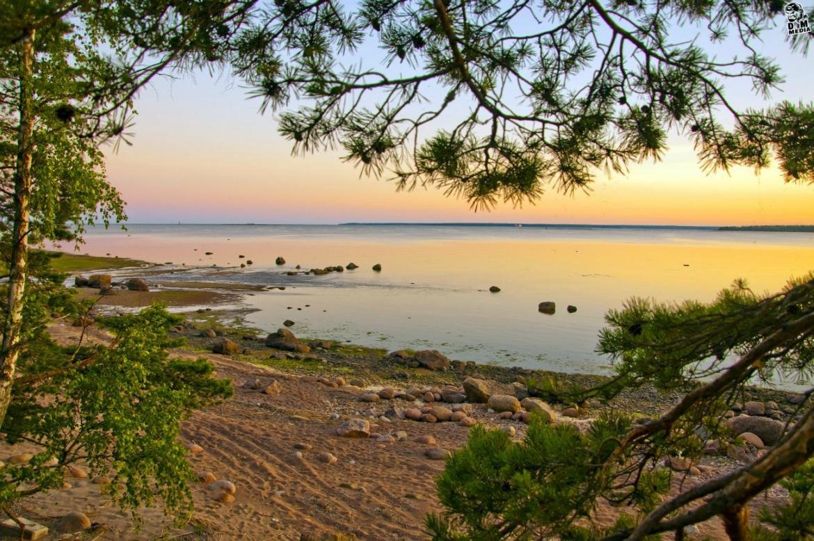 Берег финского залива Сосновый Бор