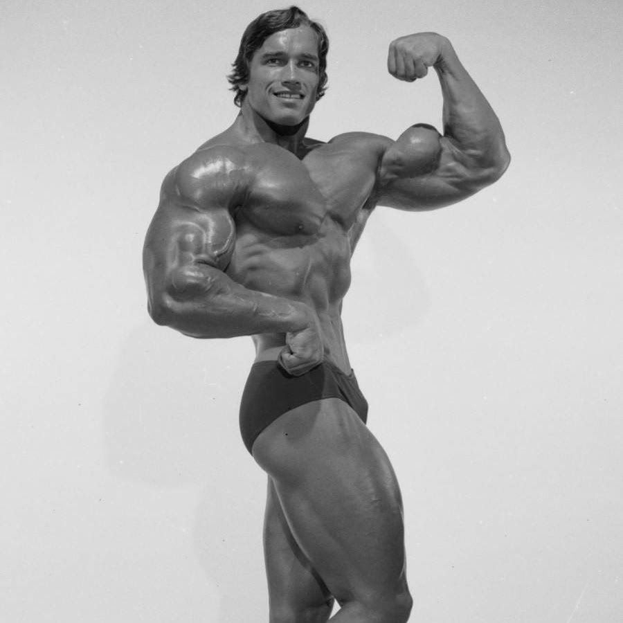 Arnold Schwarzenegger