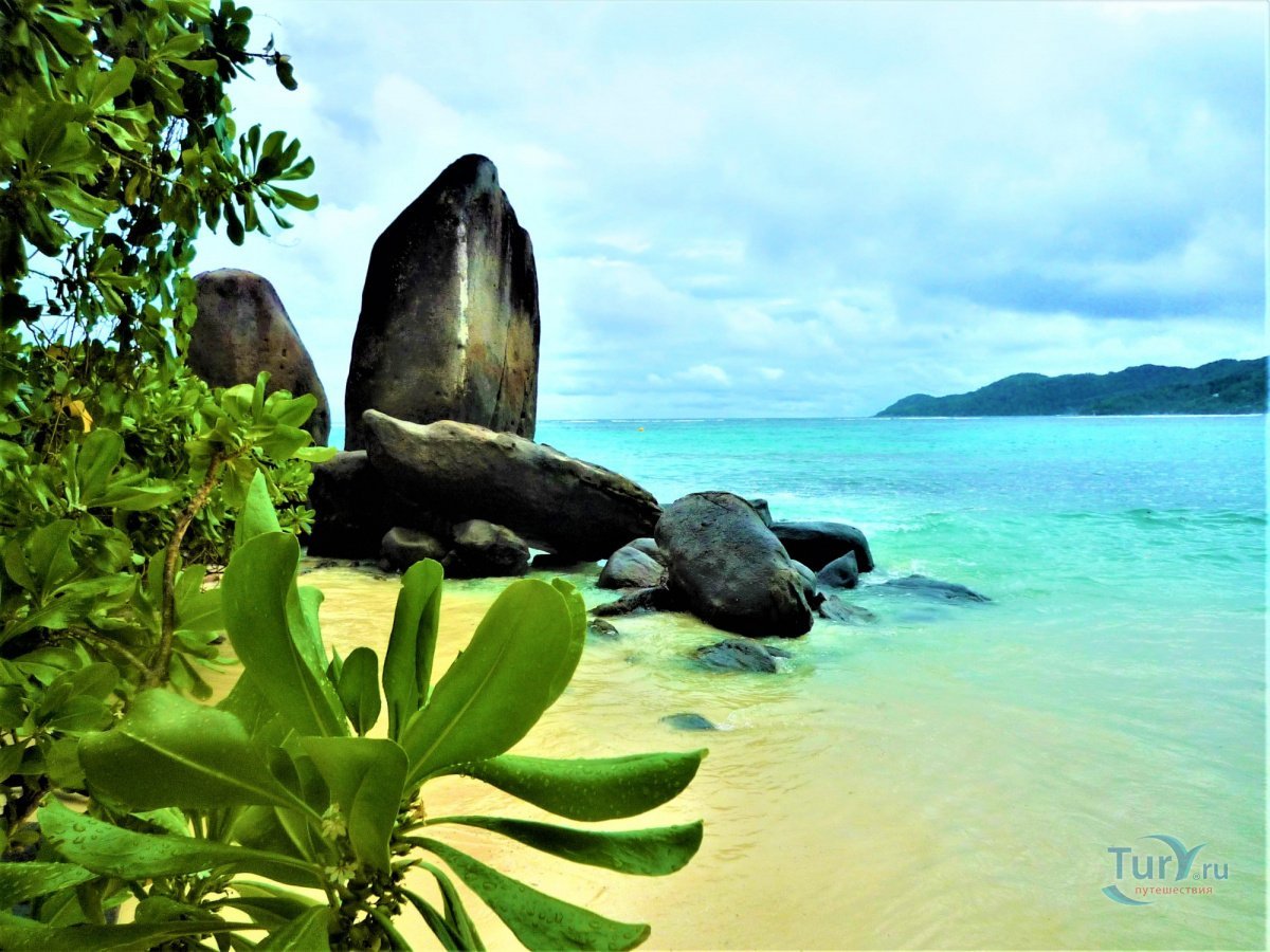 Сейшельские острова туризм