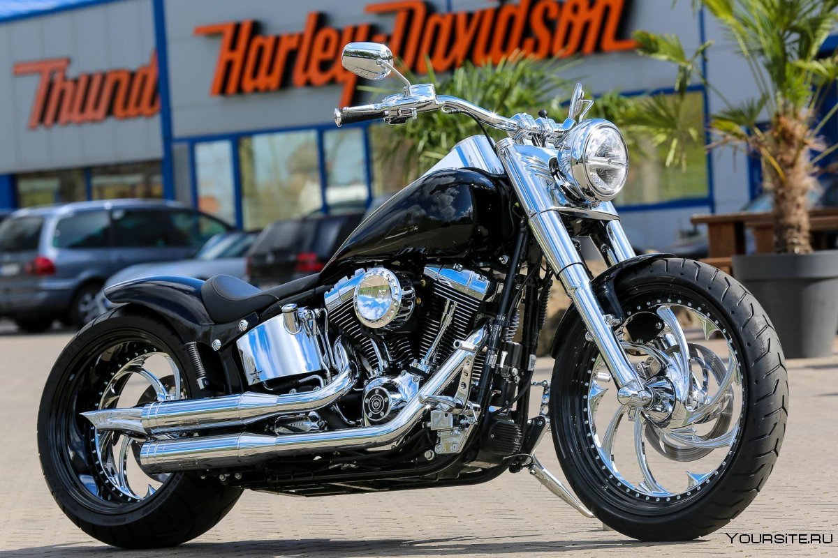 Harley Davidson FLSTF 103