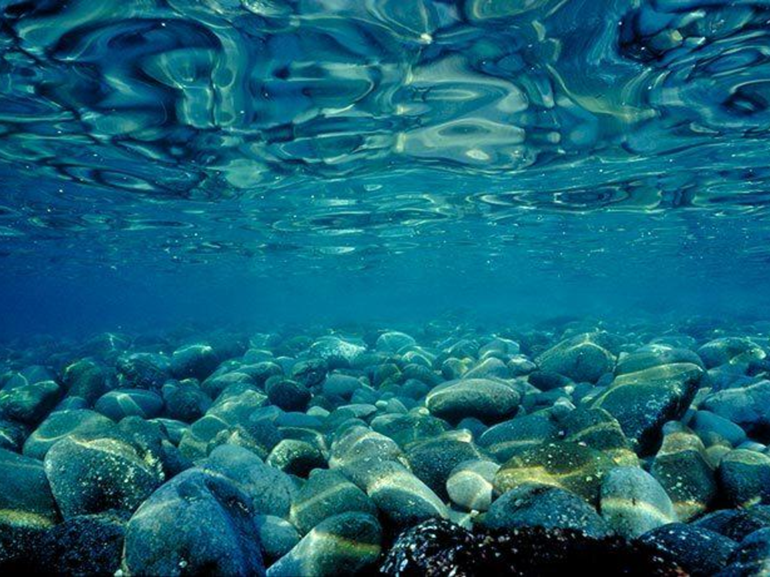 Вода на дне. Под водой. Подводные камни. Камни под водой. Прозрачное море под водой.