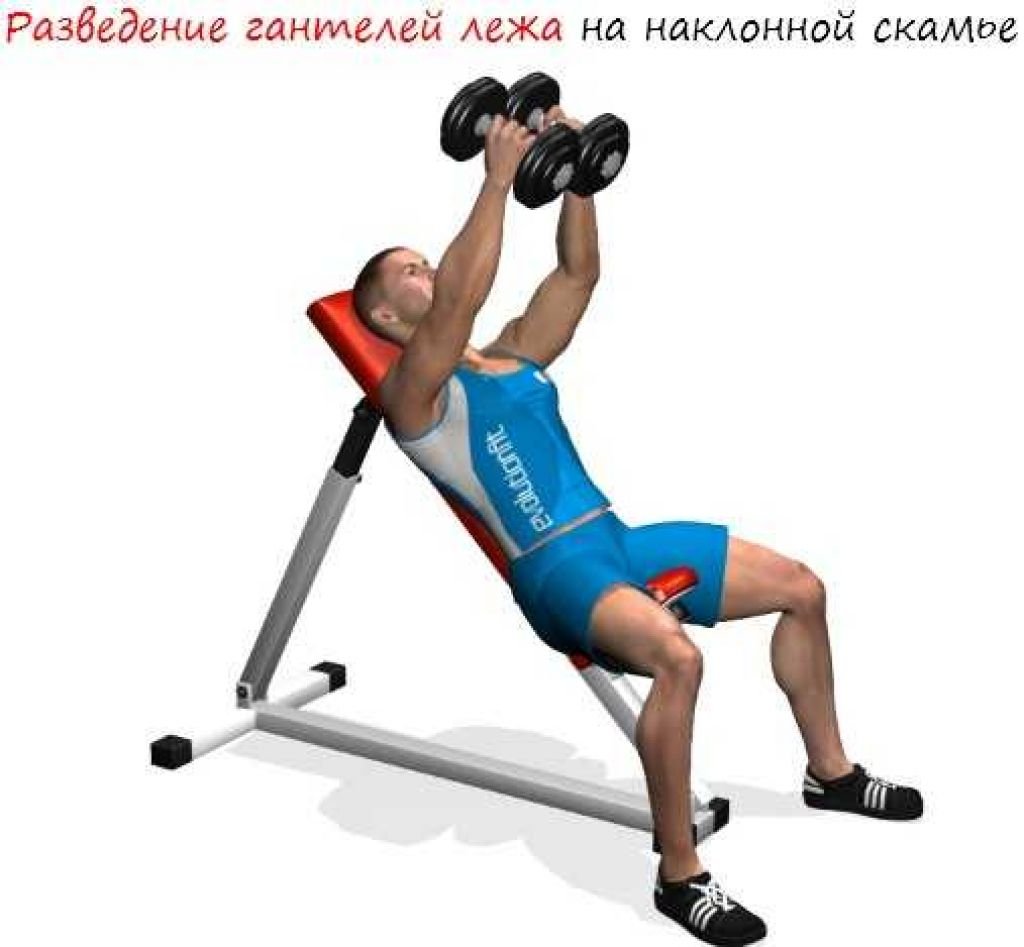 Seated Dumbbell Tricep overhead Extension