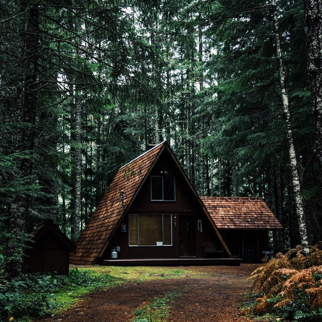 Треугольный домик в лесу