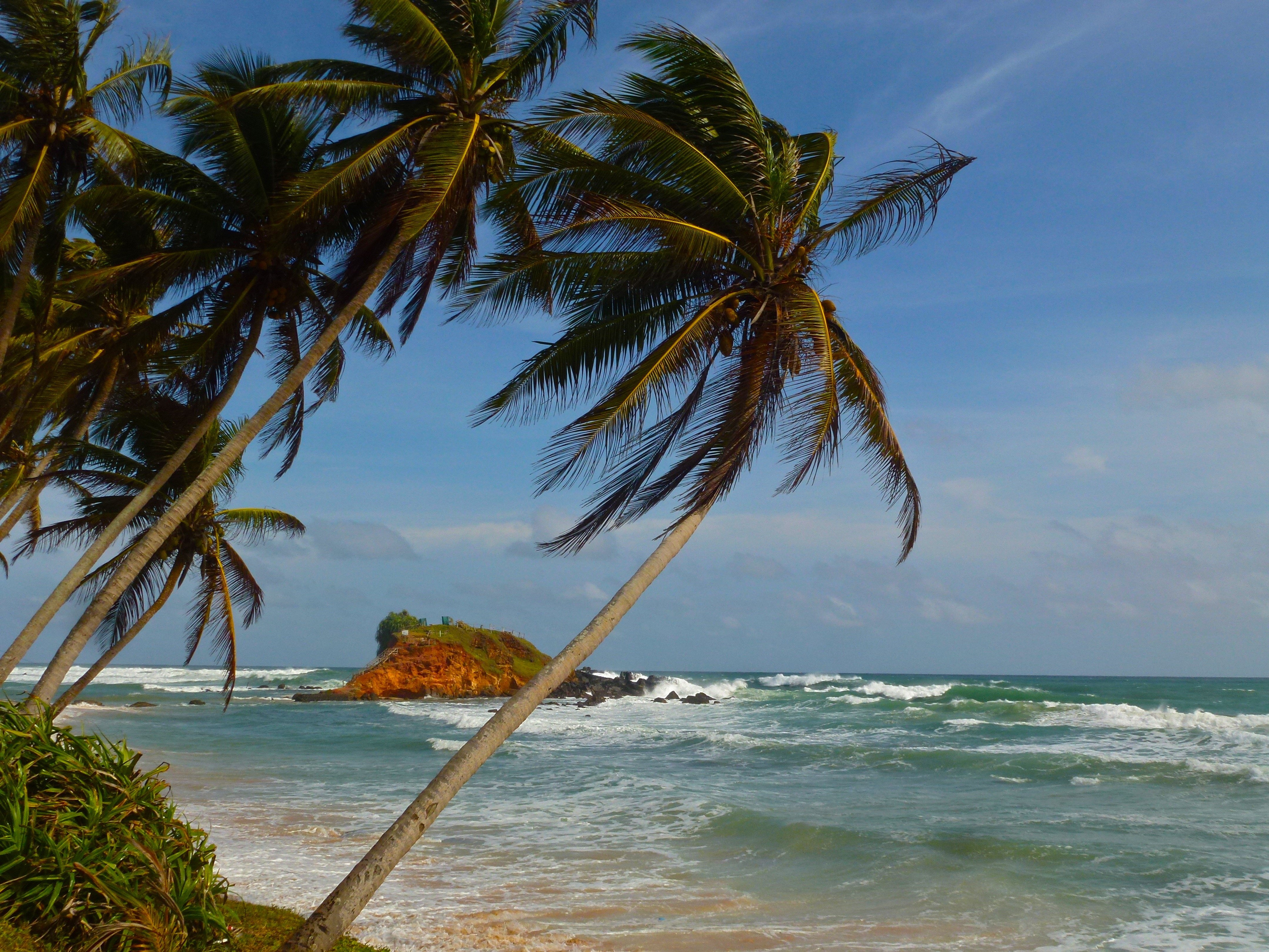 Шри ланка температура моря. Остров Мирисса Шри-Ланка. Мирисса Шри Ланка. Parrot Rock Шри Ланка. Это остров Шри Ланка остров.