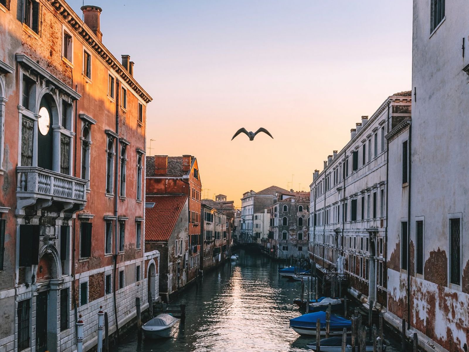 Река в венеции. Венеция Италия. Реки в Венеции 2024. Венеция (коммуна) города Италии. Венеция (коммуна) улицы.