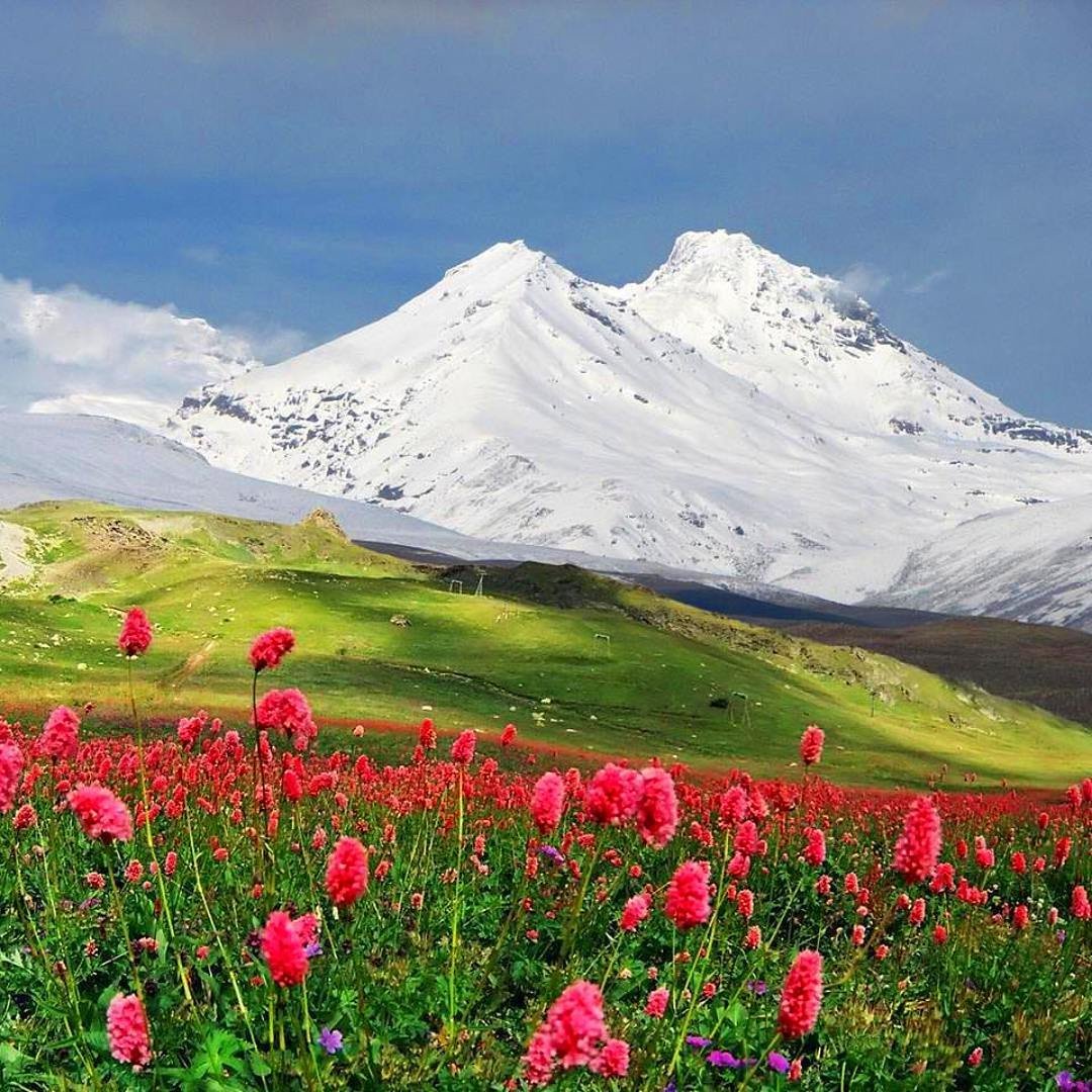 Эльбрус и кавказский хребет
