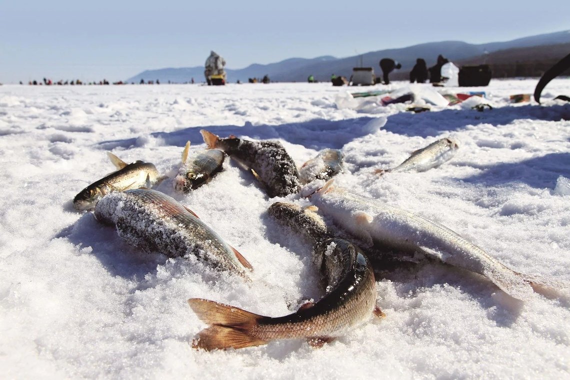 Зимняя рыбалка на озера Байкал