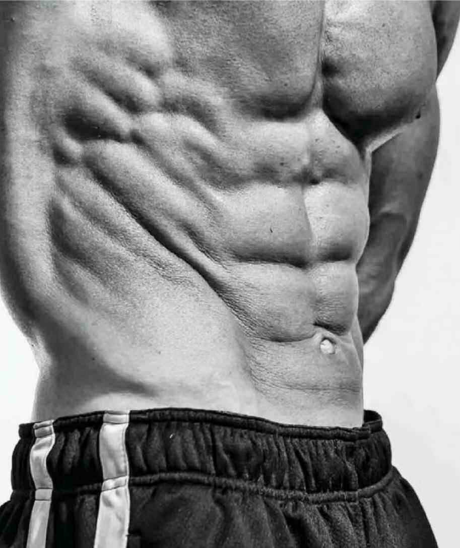 Косые мышцы живота у мужчин