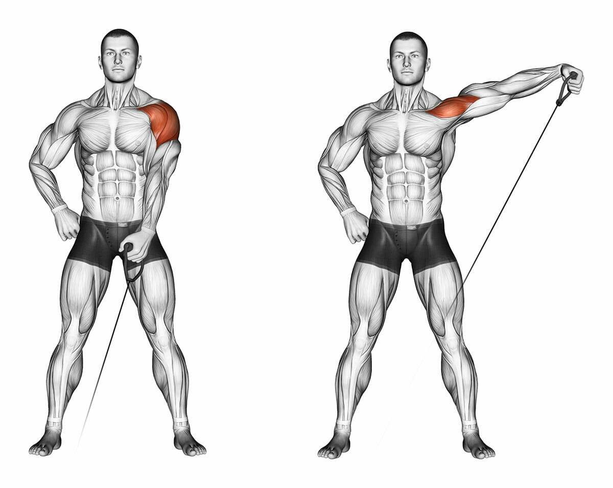 Упражнения на кроссовере для грудных мышц для мужчин