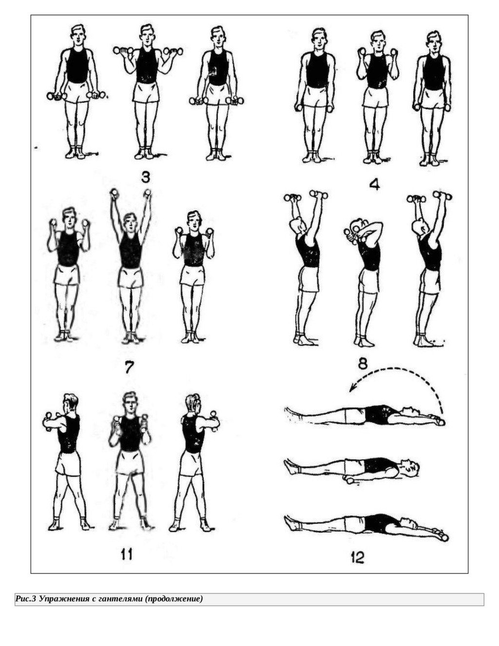 Какие упражнение делать для рук. Комплекс упражнений с гантельками. Комплекс упражнений с гантелями (10-12 упражнений). Комплекс упражнений для рук с гантелями. Упражнения с гантельками для женщин.