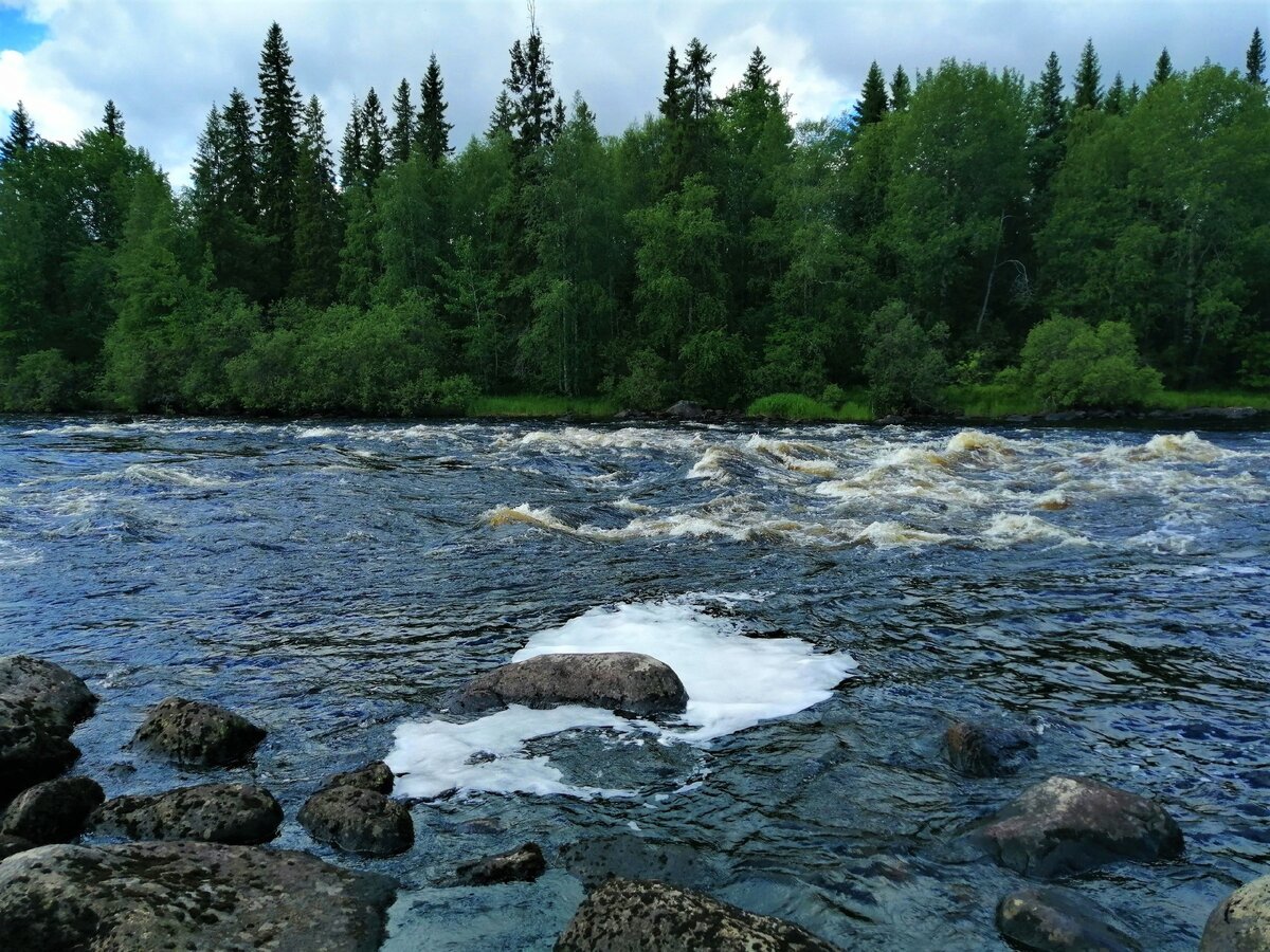 Река Чирка-Кемь Карелия