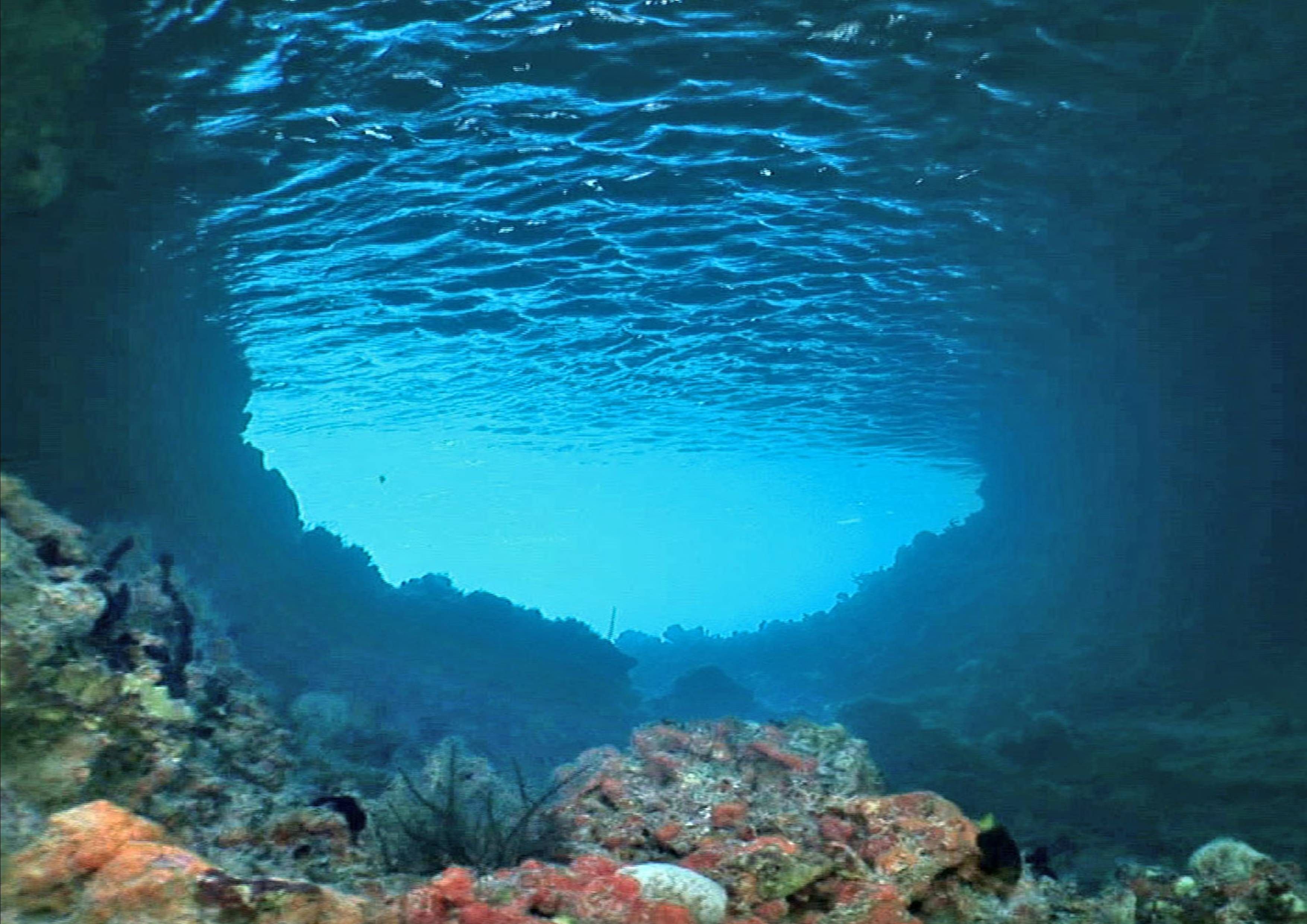 Мир морских глубин. Ущелье Силфра, Исландия. Дно моря. Дно океана. Море под водой.