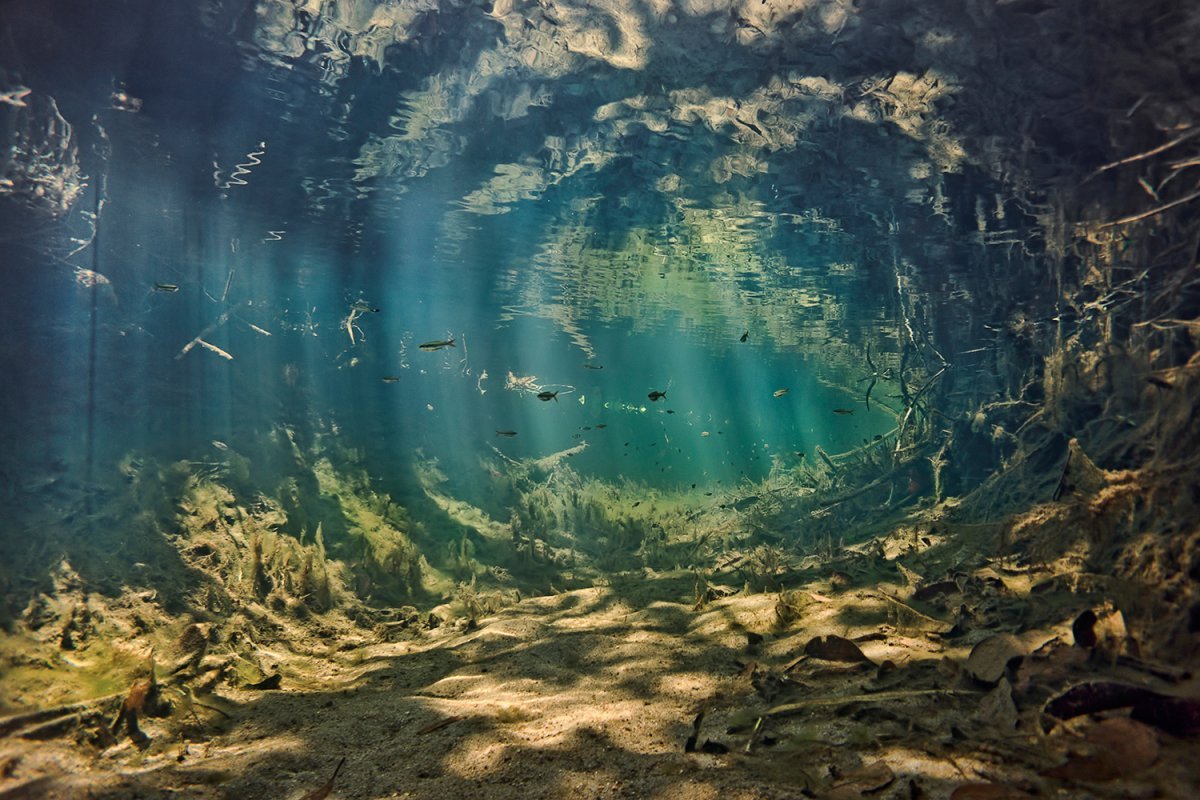 Река под водой