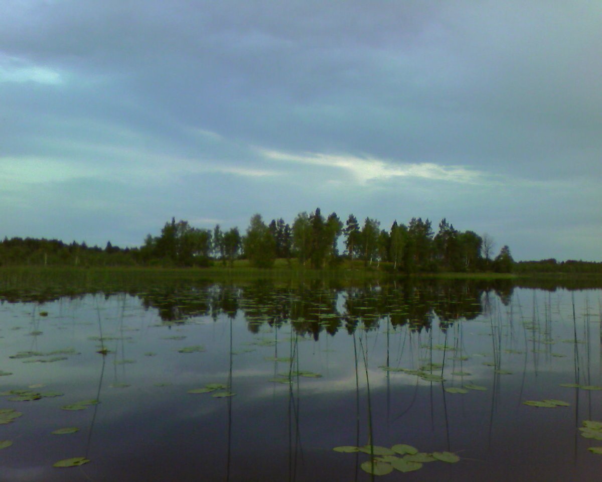 Озеро чёрное Ленинградская область Лужский район