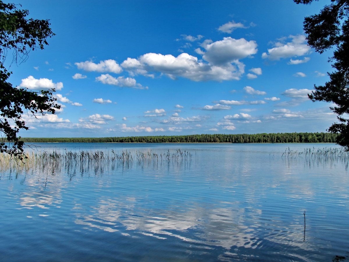 Круглое озеро Беларусь
