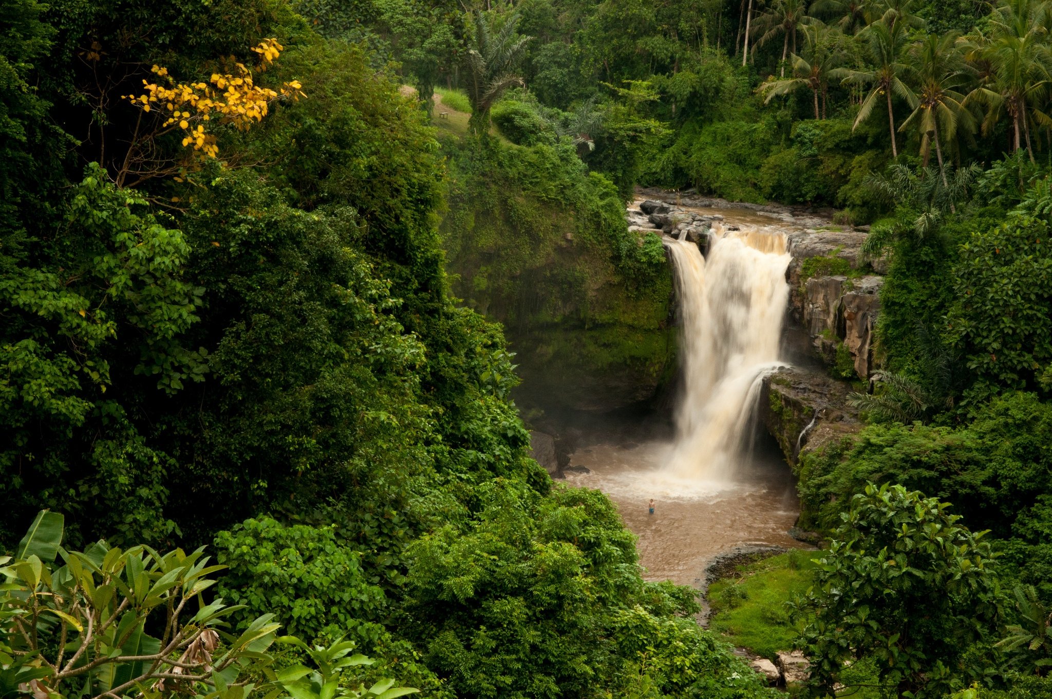 Jungle download. Водопад Тегенунган. Водопад Тегенунган Бали. Бали водопады. Бали природа джунгли.