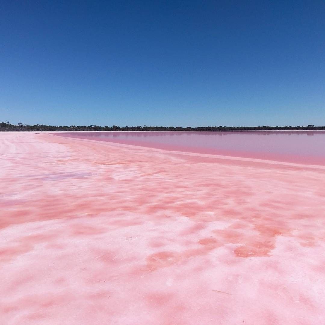 Розовое озеро в Калмыкии Адык
