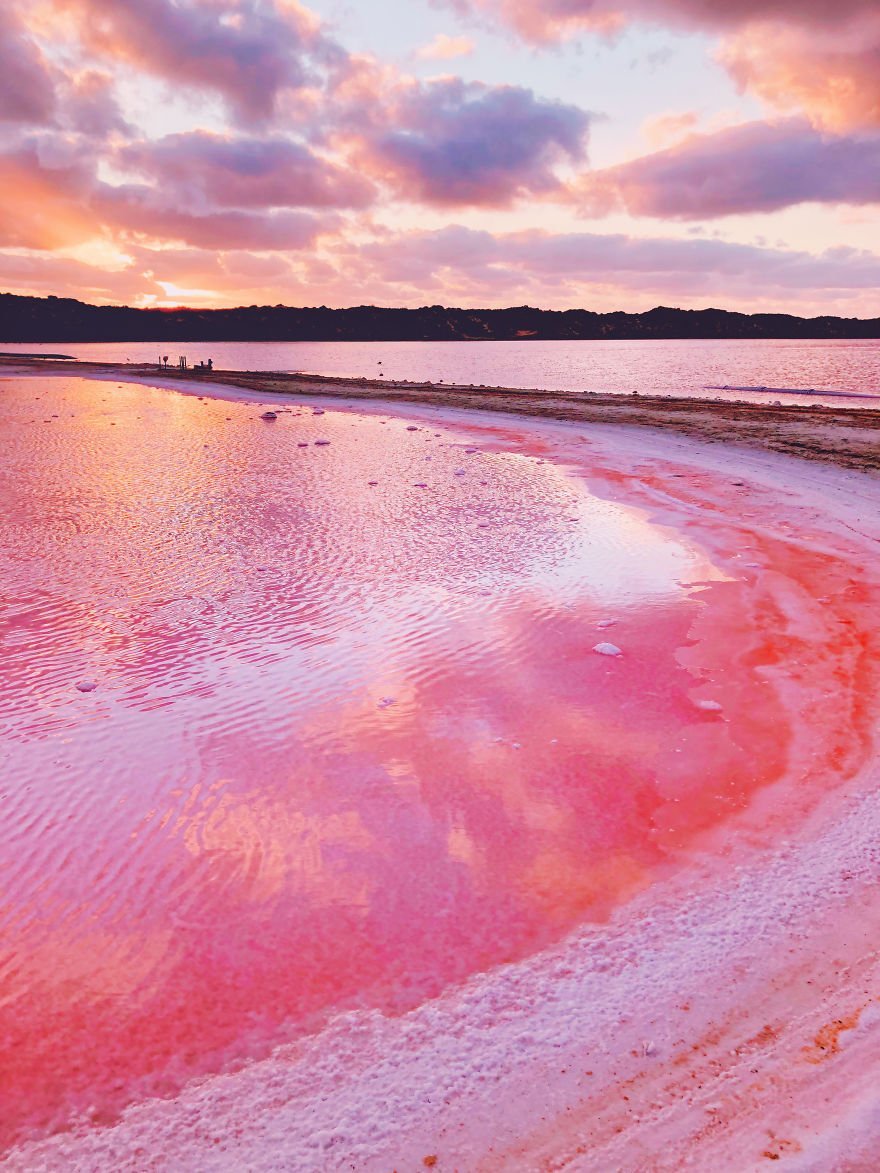 Розовое озеро калмыкия