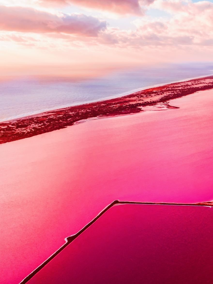 Рио Лагартос Мексика розовое озеро