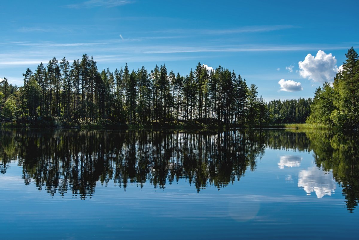 Озера Сайма в Финляндии домик на озере