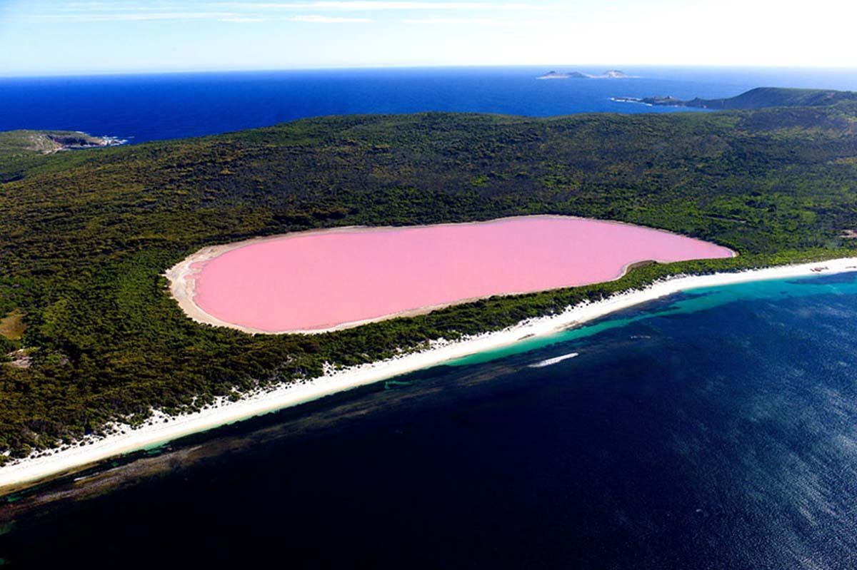 Розовое озеро Хиллер Австралия
