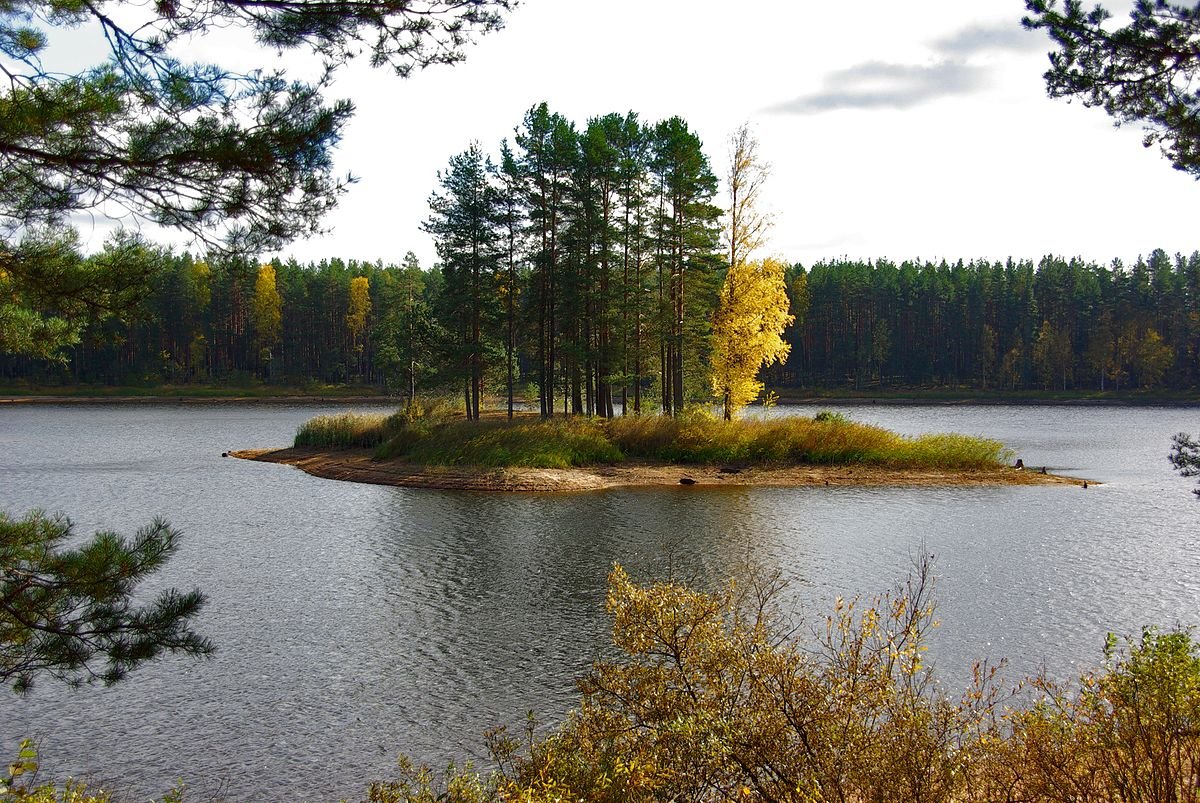 Озеро Велье Новгородская область
