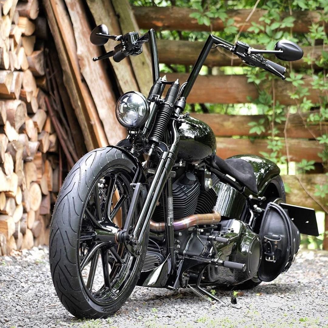 Harley Davidson Crossbones Custom