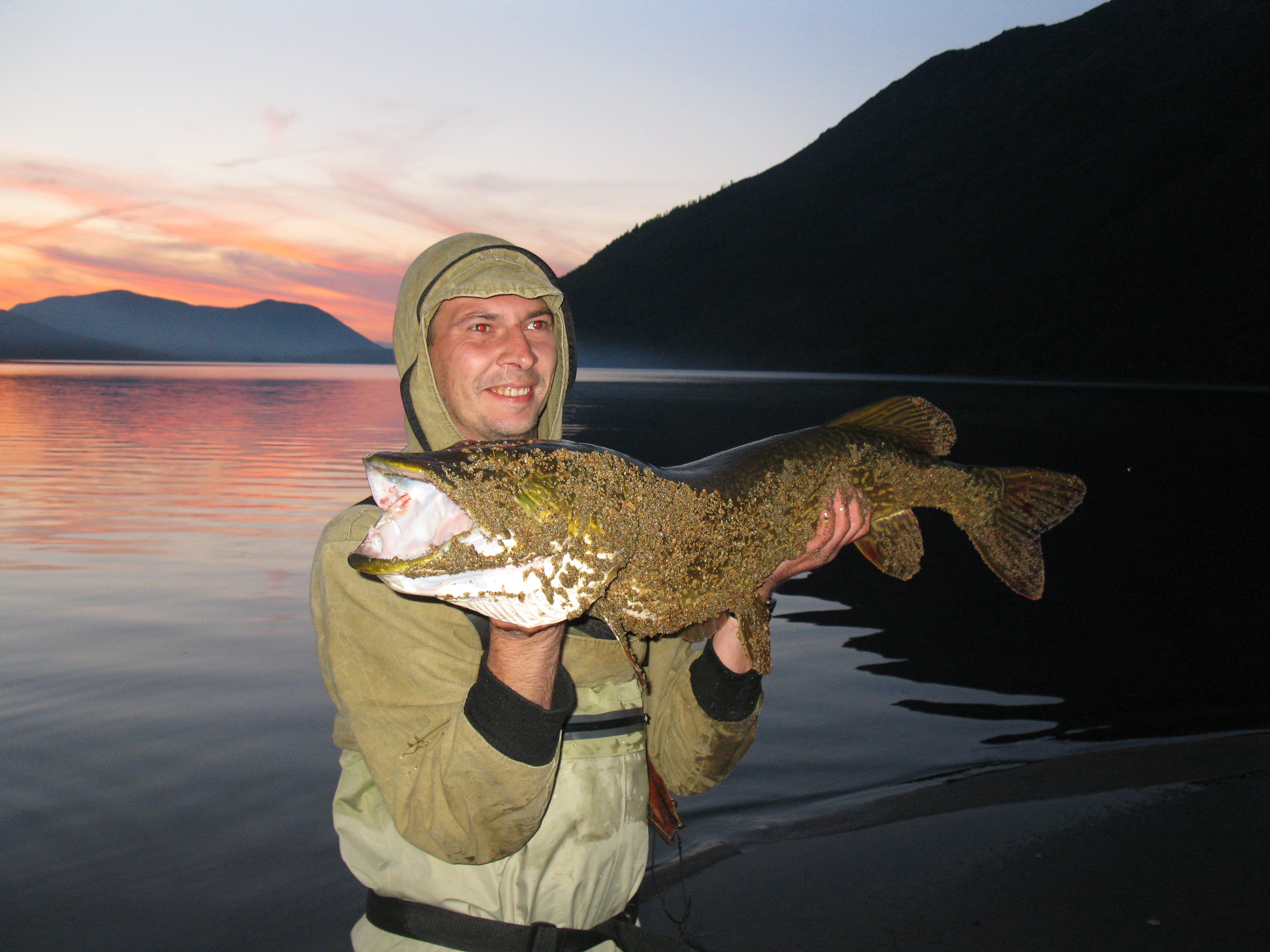 В озере байкал водится рыба. Озеро Байкал рыбалка. Озеро Байкал рыбалка летняя. Озеро Фролиха рыбалка. Рыбы озера Байкал.