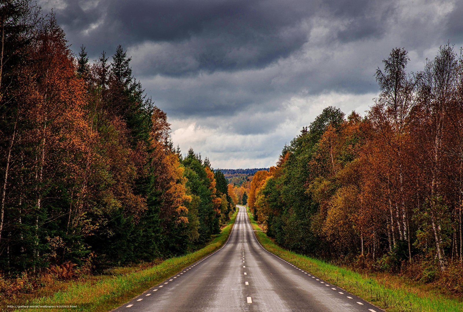 Красивая дорога видео. Дорога в осень. Красивые дороги. Красивая дорога. Осенняя дорога в лесу.
