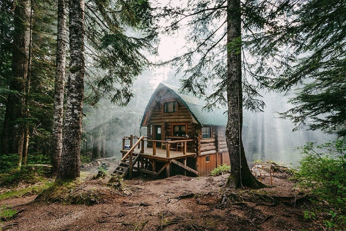 Дом в лесу иллюстрация